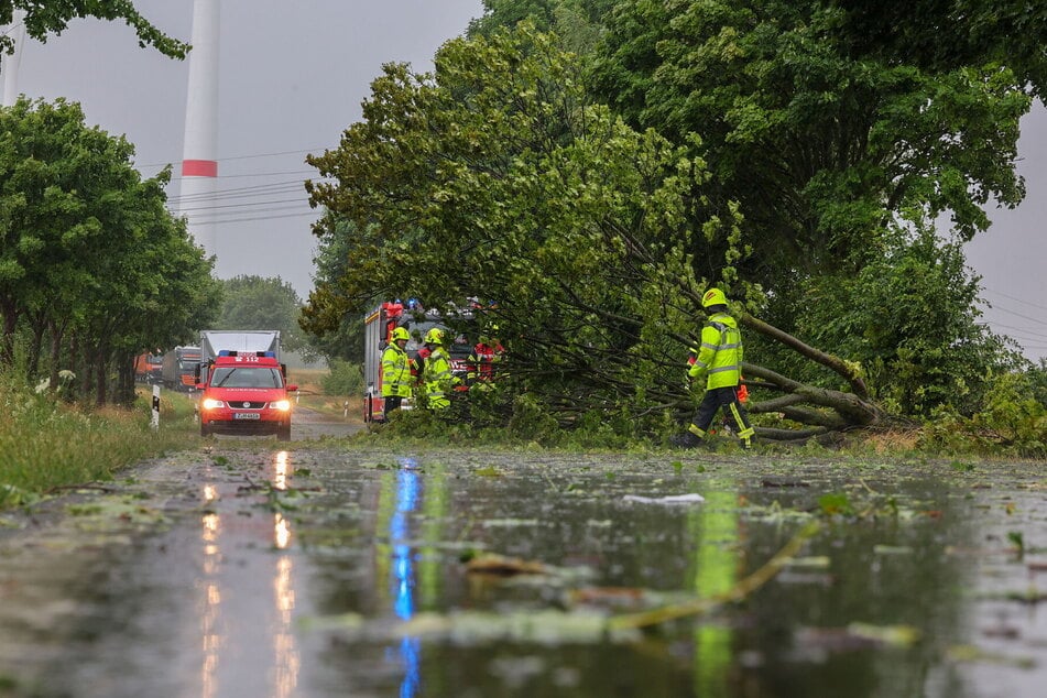 Auch die S255 musste kurzzeitig gesperrt werden - hier kippte ebenfalls ein Baum auf die Fahrbahn.