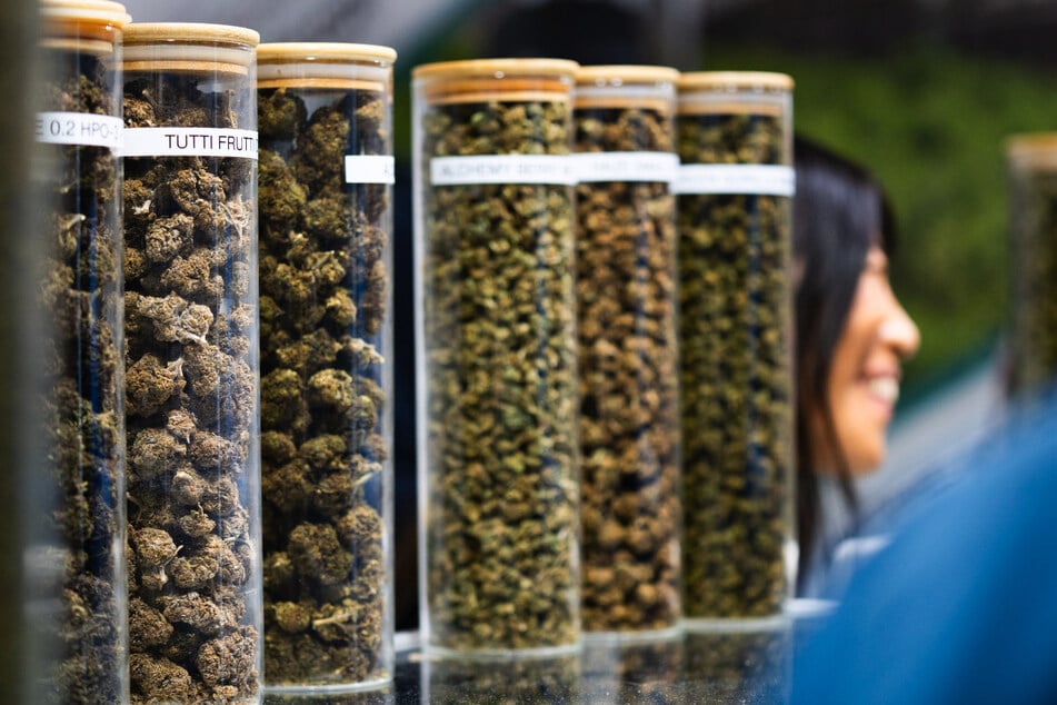 Seit rund einem Jahr ist Cannabis unter bestimmten Voraussetzungen in Deutschland teillegalisiert worden.