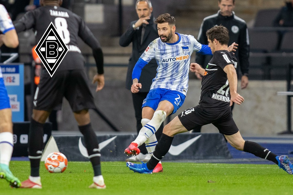 Hofmann nach Gladbach-Niederlage genervt: "Das geht mir auf den Sack!"