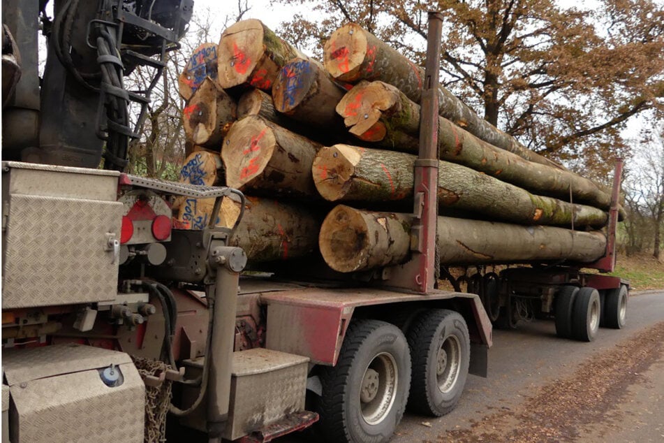 Fast zehn Tonnen wog der Holztransport zu viel.