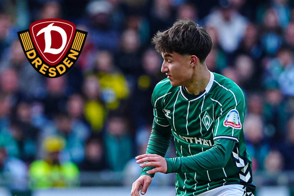 Dynamo-Neuzugang Covic bringt SGD-Erinnerungen aus seiner Kindheit mit