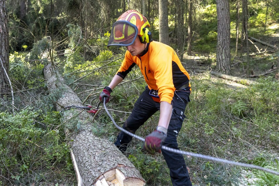 Maschinenführer Lukas Lange (23) bei der Arbeit.