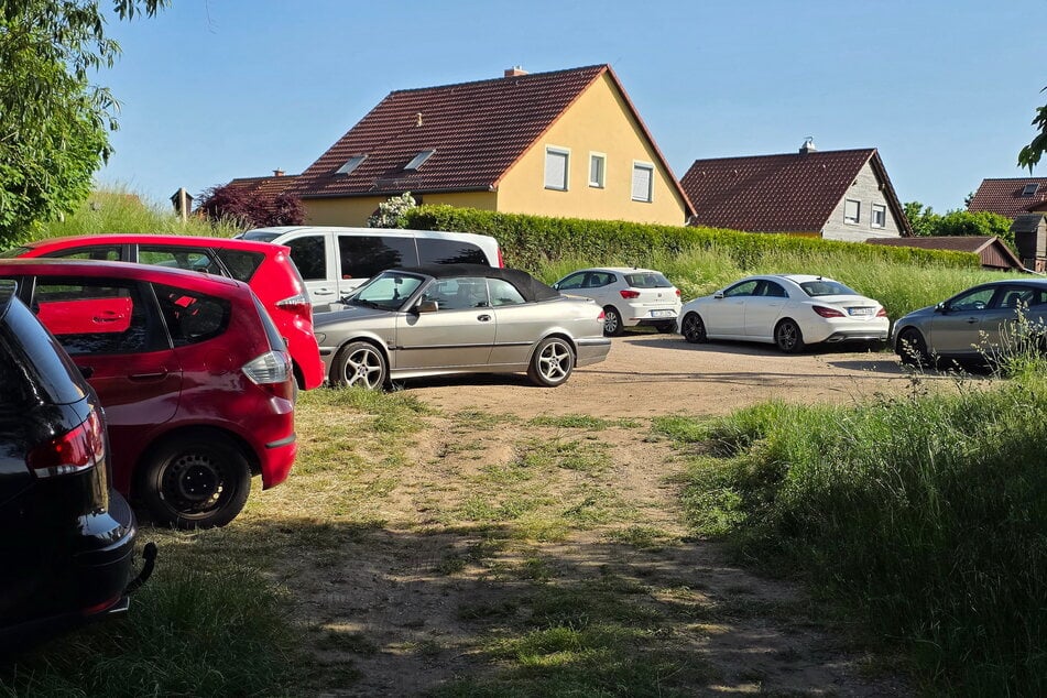 Viele Dresdner baden hier schon seit vielen Jahren. Der Betreiber des Sees duldet es mehr oder weniger.