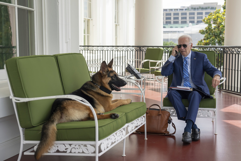 Das Herrchen und sein Hund: Der zwei Jahre alte Deutsche Schäferhund "Commander" ist der ganze Stolz von US-Präsident Joe Biden (80) und ein "Serientäter" im Weißen Haus.