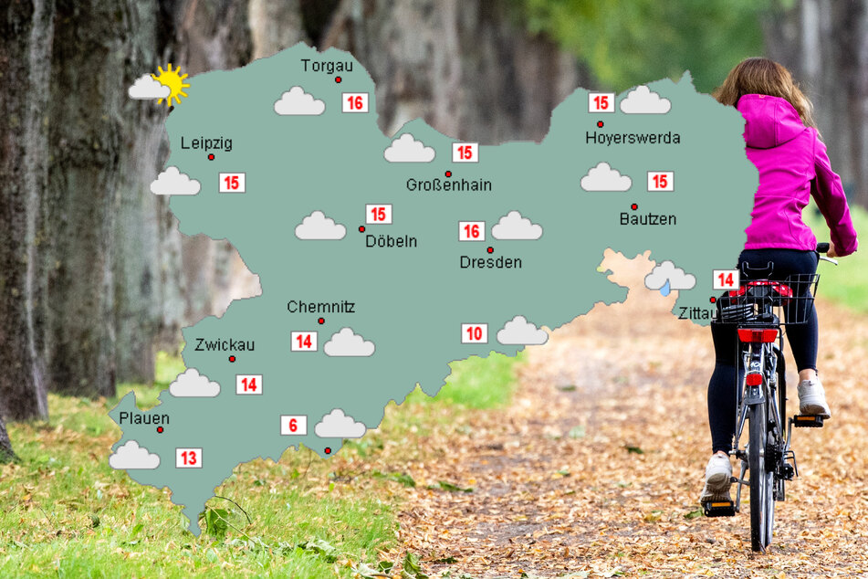 Die erste Oktoberwoche wird anfangs zwar regnerisch, danach stellen sich aber angenehme herbstliche Wetterbedingungen ein.