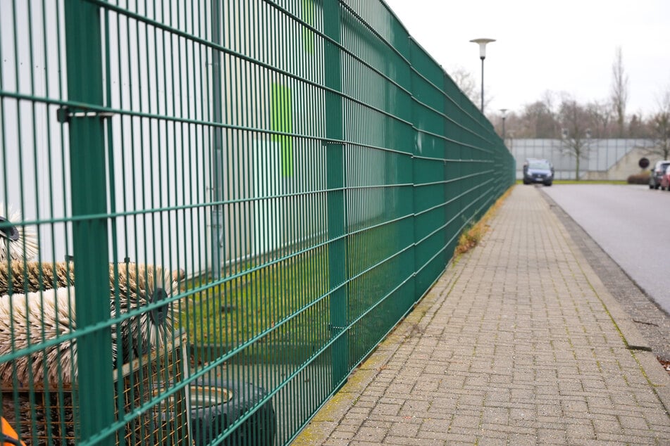 Am Zaun des Geländes eines Entsorgungsbetriebes in Halle wurde am Montagabend ein totes Baby gefunden.