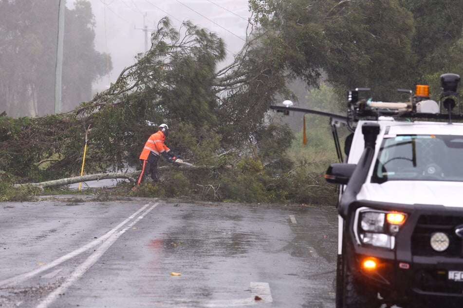 Arbeiter reparieren die von einem umgestürzten Baum beschädigten Stromleitungen in Chinderah im nördlichen New South Wales.