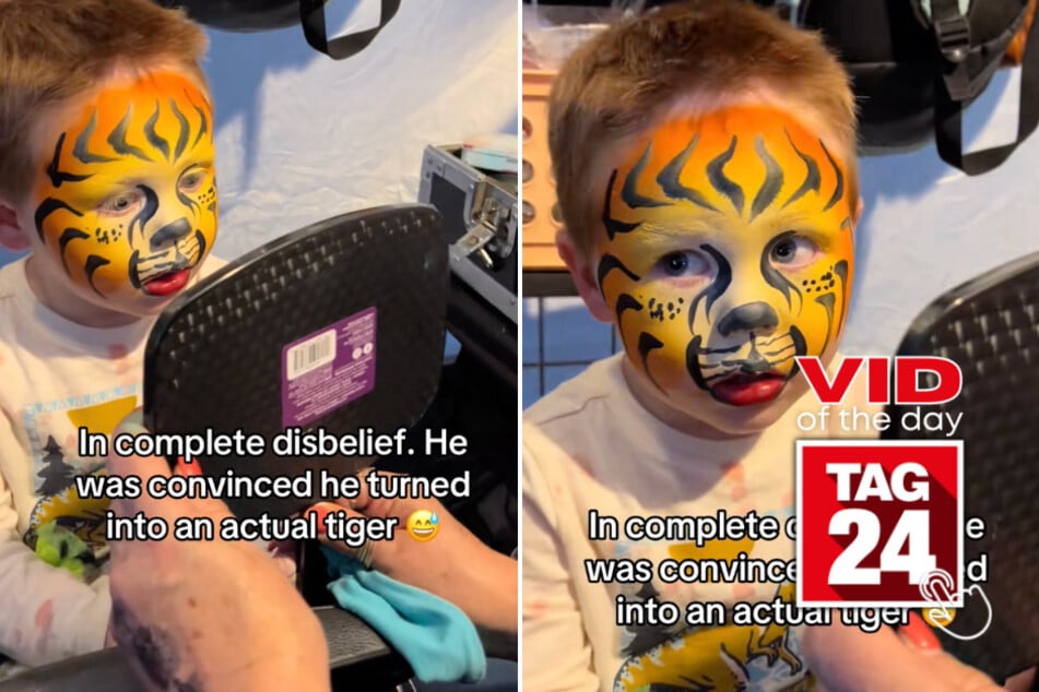 viral videos: Viral Video of the Day for November 25, 2025: Little boy fully believes he turned into real tiger in hilarious TikTok!