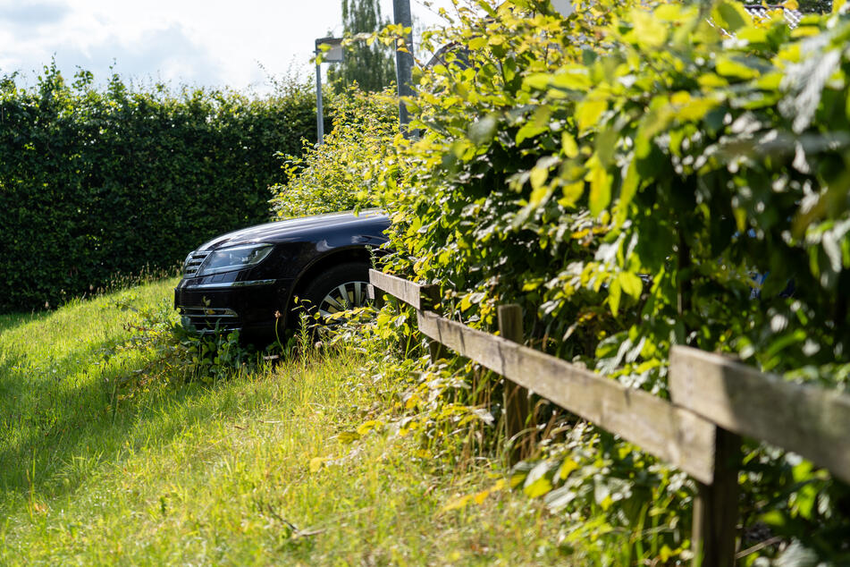 Ein geparkter VW wurde durch eine Hecke geschoben.