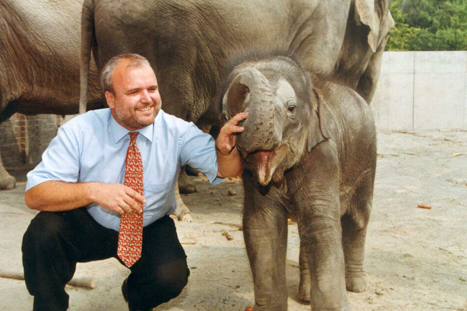 Zoodirektor Jörg Junhold mit dem 2002 geborenen Elefantenbullen Voi Nam, der mittlerweile zweifacher Papa ist. Er war der erste Elefantennachwuchs nach 66 Jahren in Leipzig.