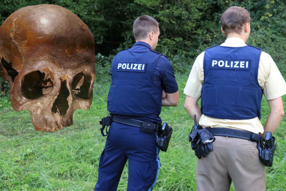 Die Knochen wurden in einem Wald in Unterfranken entdeckt.