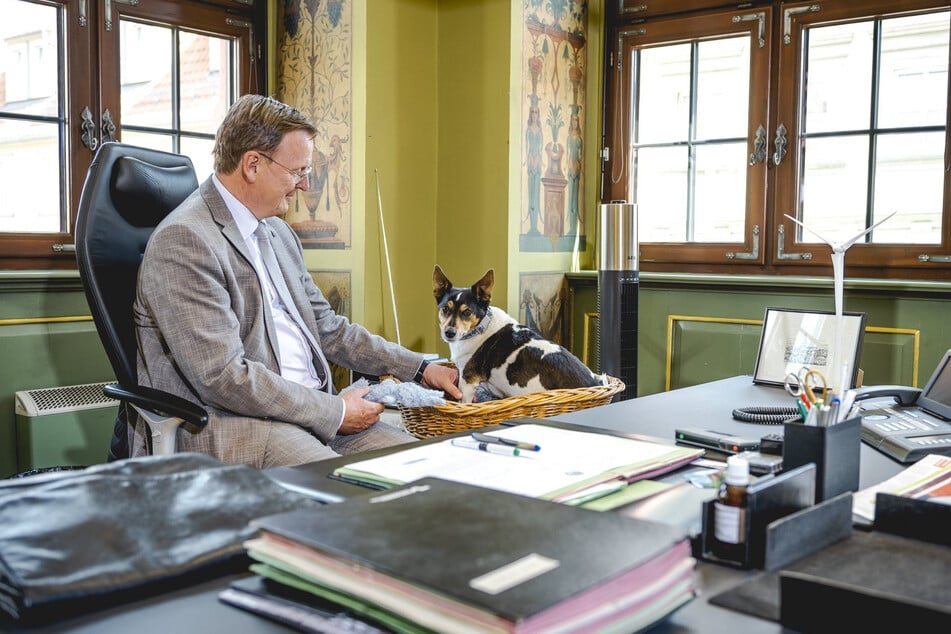 Treuer Begleiter von Bodo Ramelow (70) war lange Zeit sein Jack-Russell-Terrier namens Attila.