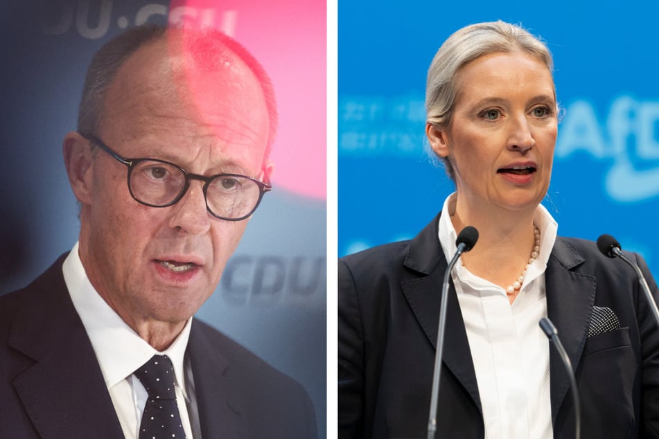 Alice Weidel (45) hat Friedrich Merz (69) erneut zur Zusammenarbeit aufgefordert.