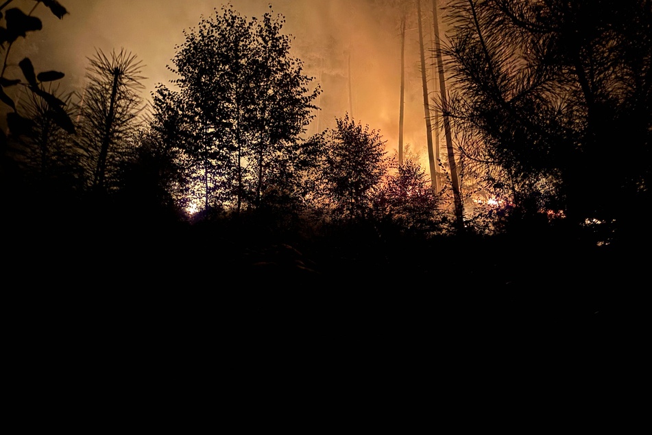 Nach Angaben der Feuerwehr brannten rund 6000 Quadratmeter Wald.