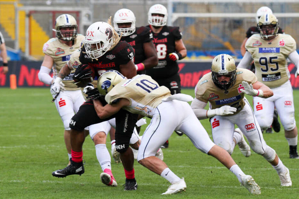 Mit aller Kraft stemmt sich der Dresdner Maxime De Falcis (Nr. 10) gegen den Braunschweiger Runningback Chris McClendon, der kaum zu stoppen war.