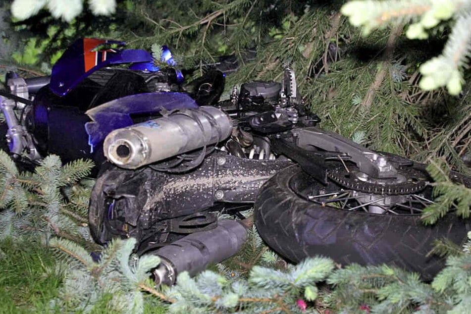 Das Motorrad landete in einem Baum.