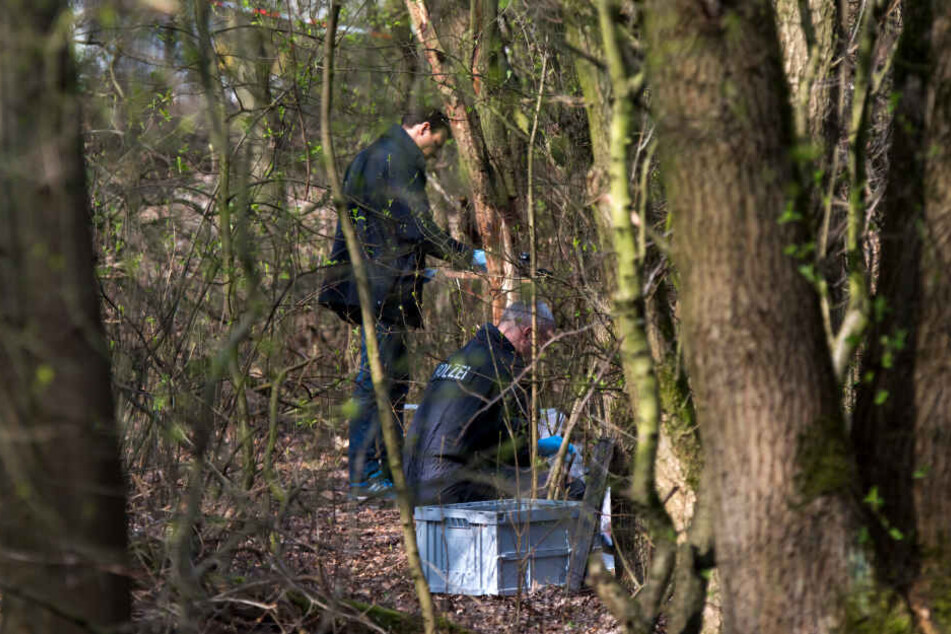 Ermittler der Polizei stehen in dem Waldstück, in dem Schüler eine Babyleiche fanden.