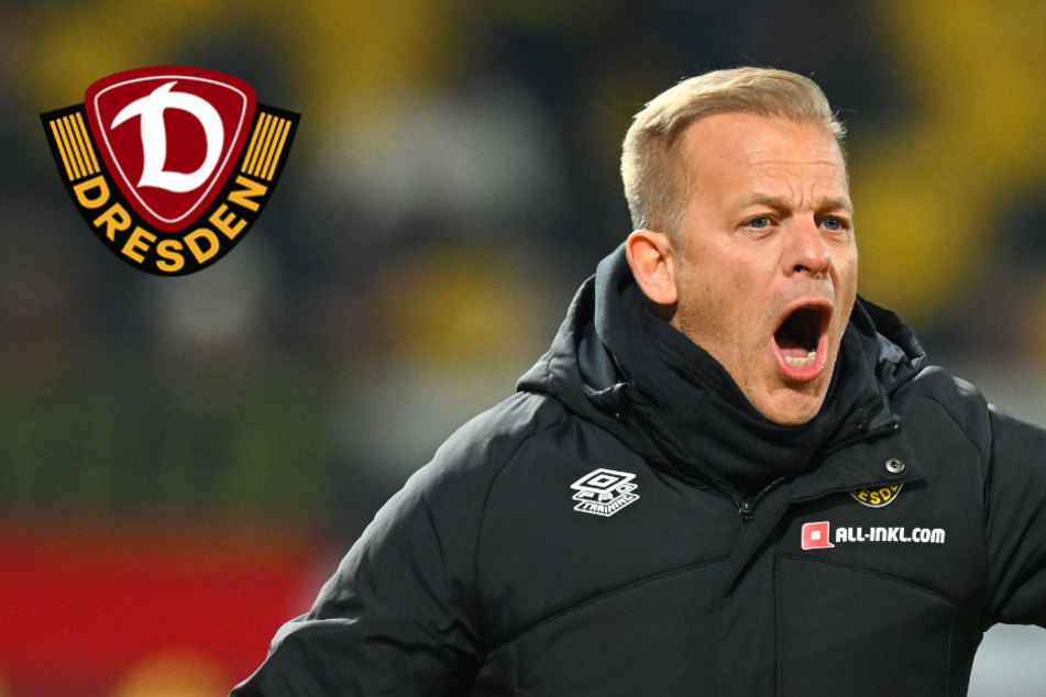 Dynamo-Coach Anfang macht Transfer-Druck: "Braucht ein neues Puzzleteil"