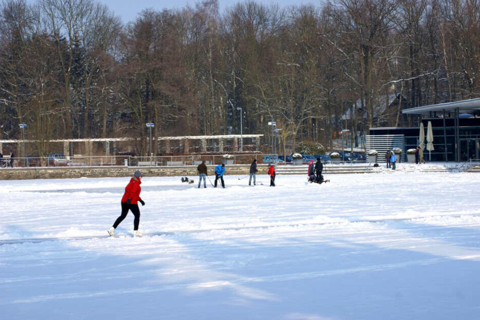 2012 nutzten viele Chemnitzer den zugefrorenen Pelzmühlenteich zum Eislaufen und Eishockeyspiel.