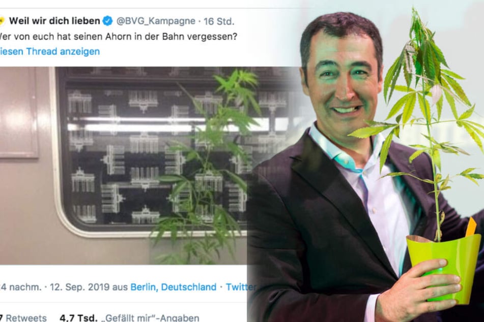 BVG sucht Besitzer einer Cannabis-Pflanze: Grünen-Politiker Cem Özdemir meldet sich zu Wort