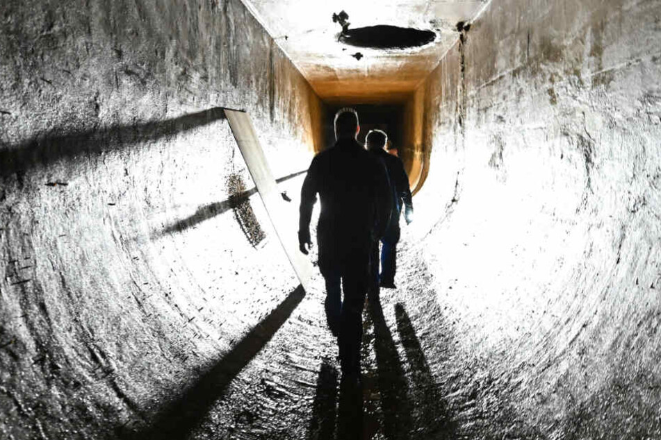 Die weitere Ausbreitung der Muschel soll unbedingt verhindert werden.