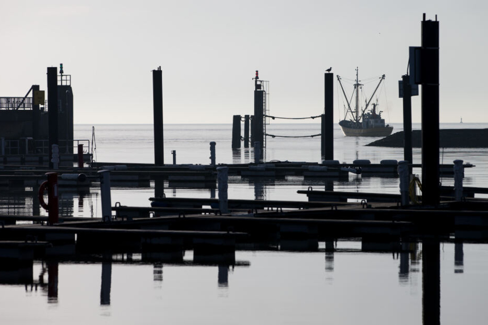 Zwischen leeren Anlegern ist ein Fischerboot auf dem Weg in den Hafen von Cuxhaven in Niedersachsen zu sehen.