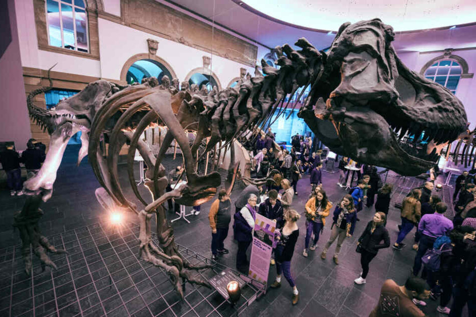 Das Senkenbergmuseeum ist eines der größten Naturkundemuseen in Europa.