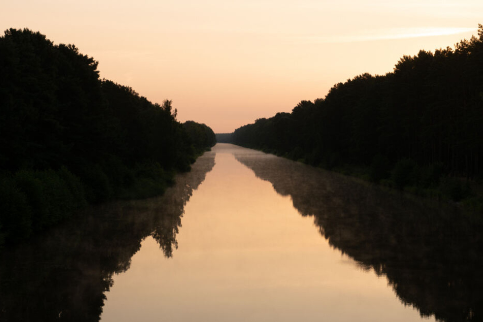 Schoon 2006 wurden Quallen in der Havel gesichtet. (Symbolbild)