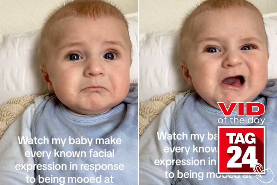 Today's Viral Video of the Day features an infant boy who goes through a flurry of emotions when his dad makes an animal sound.