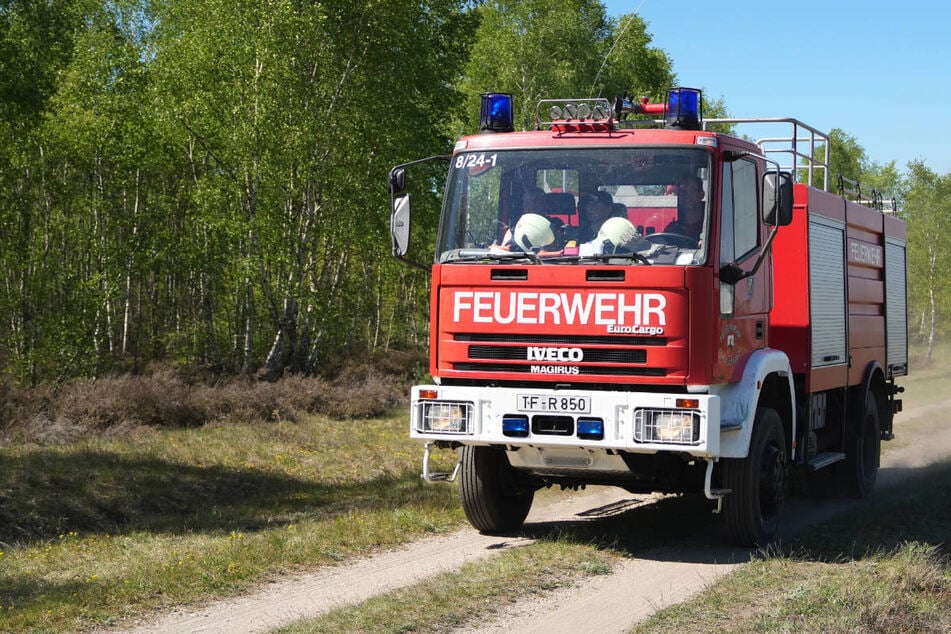 Mehr Wohngebiete am Wald: Muss Brandenburgs Brandschutz erweitert werden?