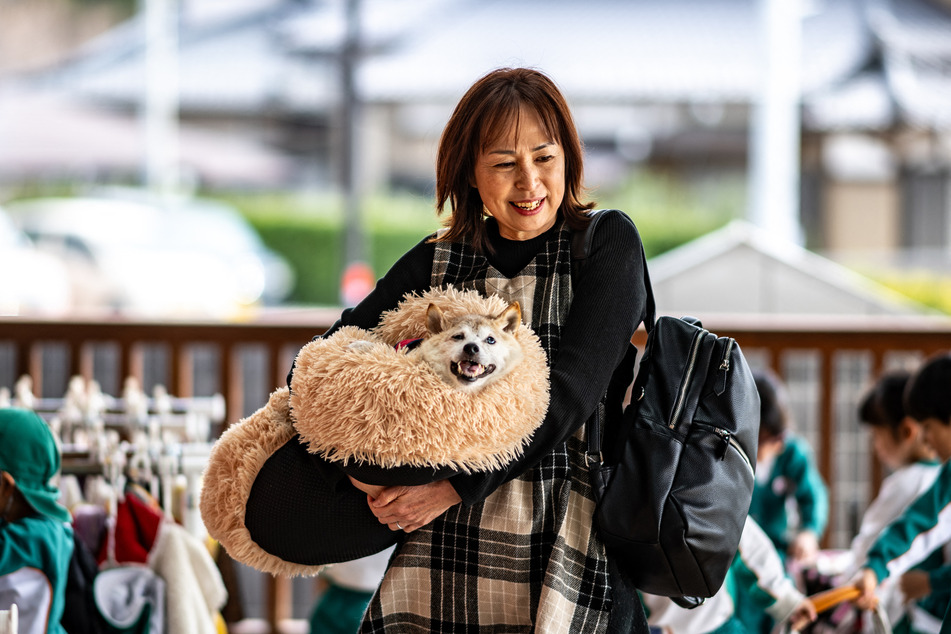 Atsuko Sato announced that Kabosu, her beloved shiba inu who inspired a generation of memes, has passed away.