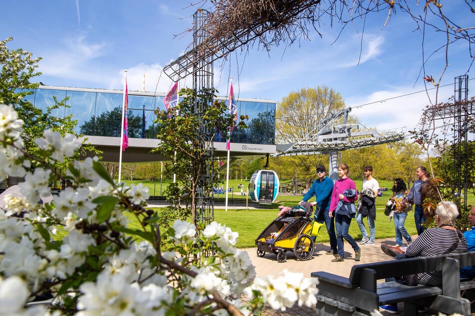 Die grüne Bundesgartenschau in Mannheim (2023) inspiriert nun auch die Dresdner Stadtplaner.