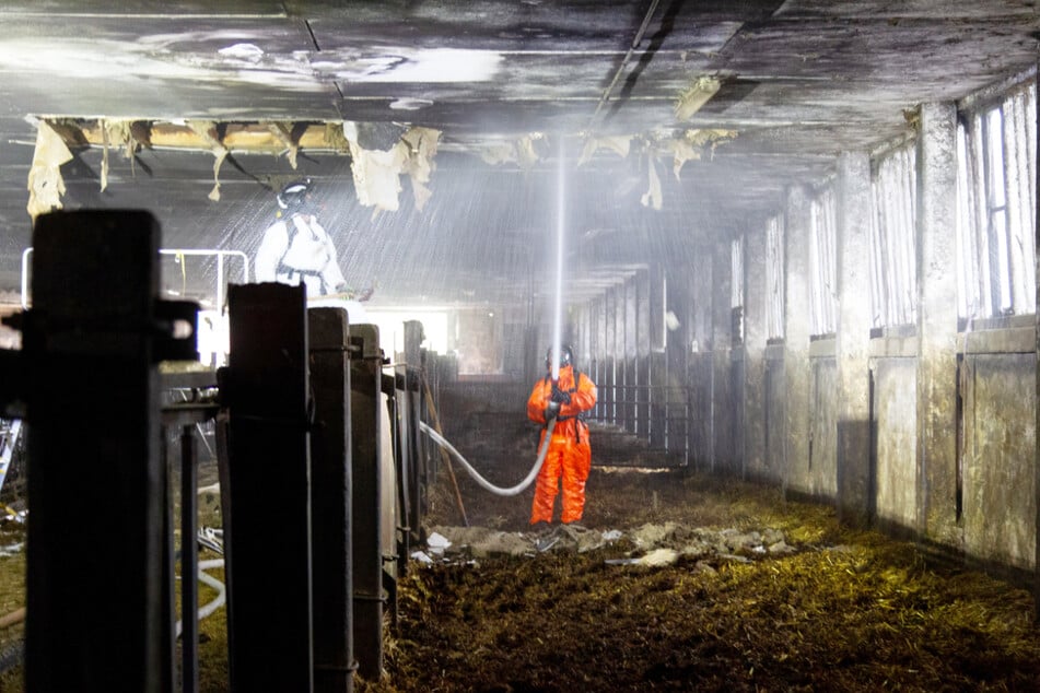 Die Feuerwehr spritzt das Löschwasser in die Decke des Gebäudes. Zuvor musste diese aufgeschnitten werden, um Glutnester zu finden.