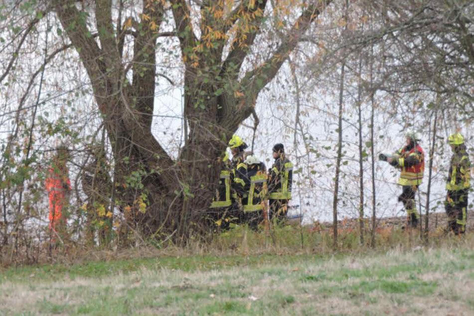 Der See liegt bei Naunhof im Landkreis Leipzig.