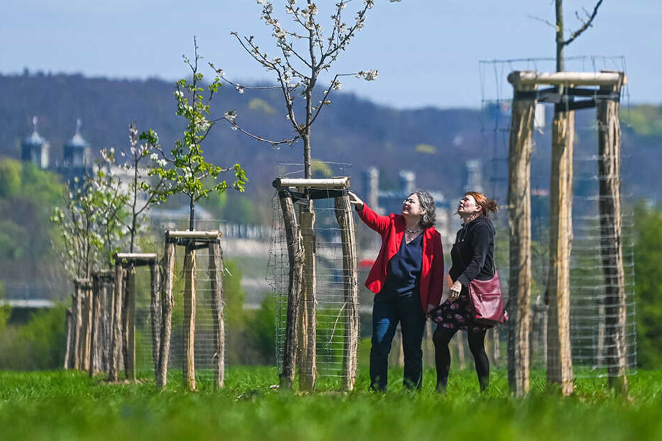 Ausruhen, spazierengehen oder Obst pflücken, all das soll bald möglich sein.