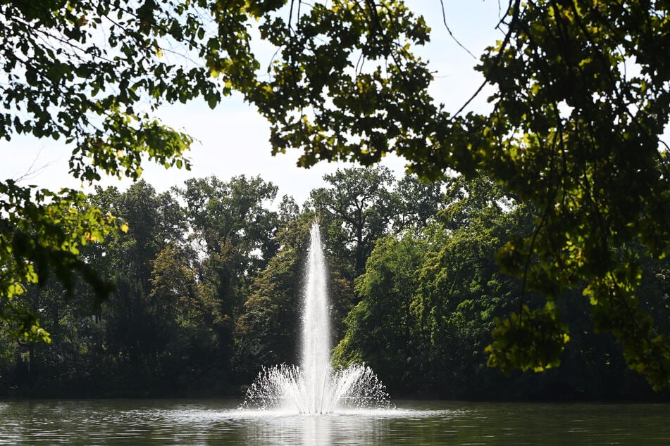 Seit Dienstag sprudelt sie wieder ab den Morgenstunden.
