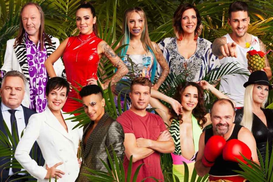 Diese zwölf Kandidaten werden ab dem 10. Januar im RTL-Dschungelcamp leben.