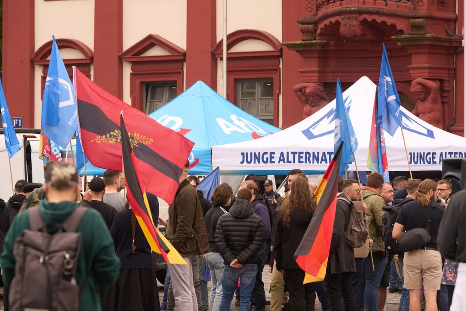 Die AfD-Spitze will sich von der Jugendorganisation "Junge Alternative" trennen. (Symbolbild)