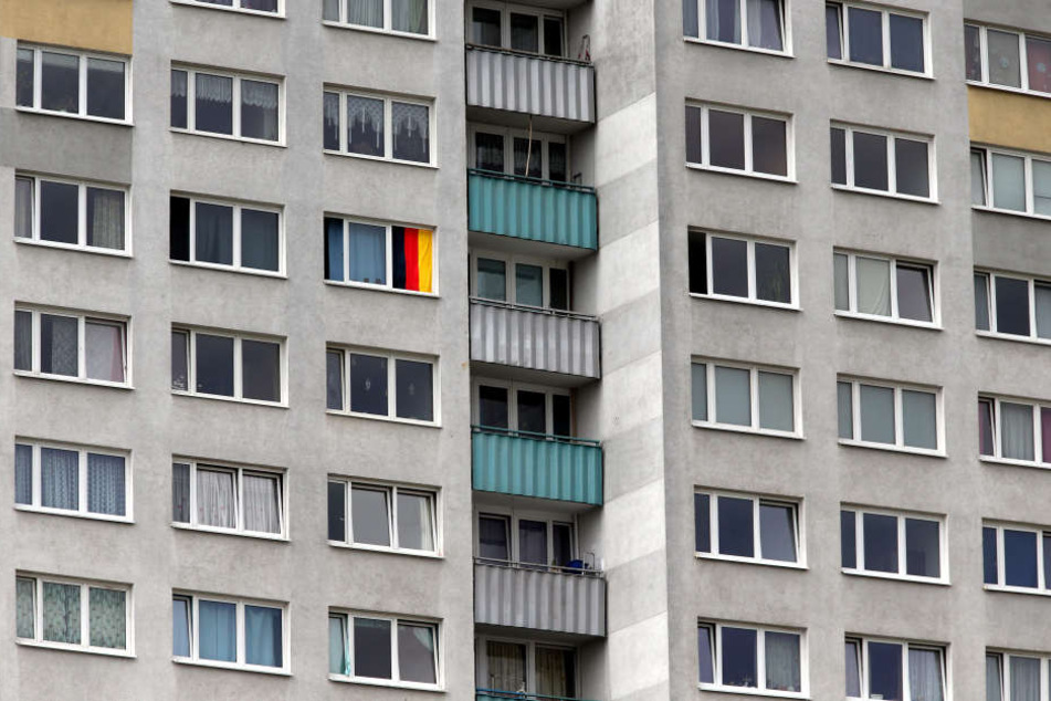 Ein Hund ist während eines SEK-Einsatzes in Berlin-Marzahn vom Balkon gestürzt und gestorben (Symbolbild).