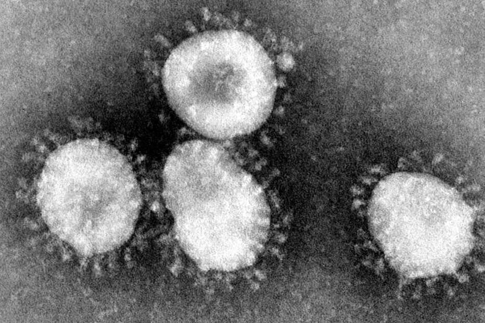 Dieses undatierte Handout des amerikanischen Centers for Disease Control (CDC) zeigt einen Coronavirus unter dem Mikroskop.