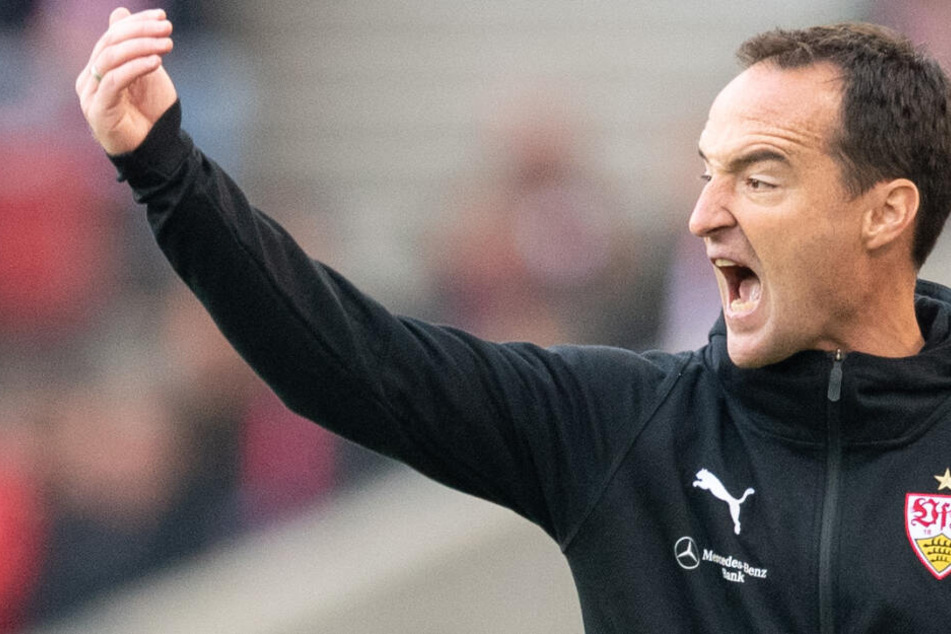 VfB-Interimstrainer Nico Willig dirigiert seine Elf zum Heimsieg über Gladbach.