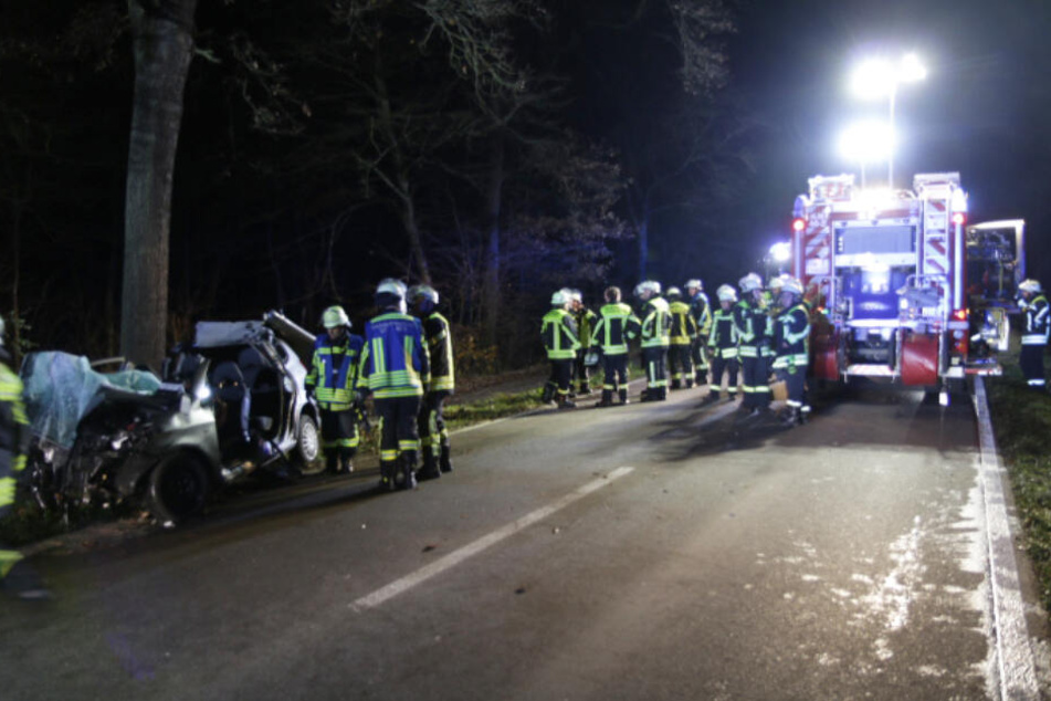 Die Feuerwehr musste den Fahrer aus seinem Wrack befreien.