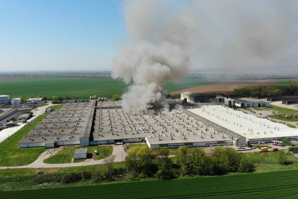 Nach dem Brand in einer Mastanlage ist die Ursache nun geklärt.