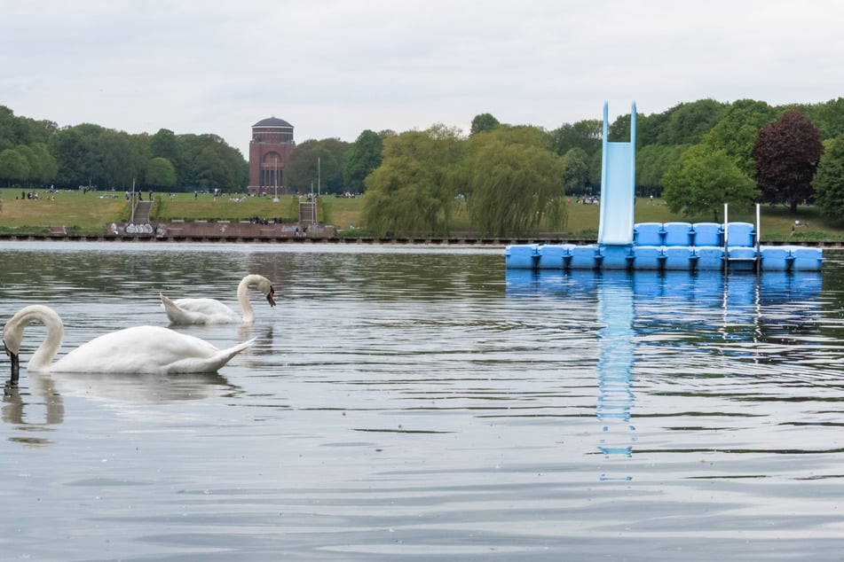 Auch im Hamburger Naturfreibad Stadtparksee haben Badefans die Möglichkeit, ins kühle Nass zu springen.