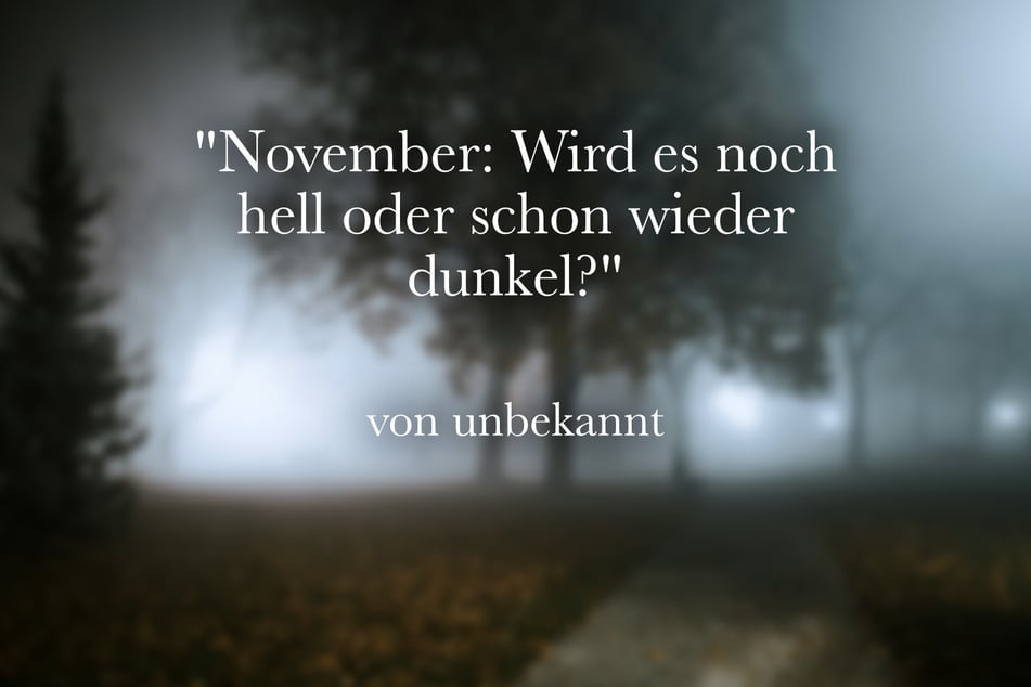 Beschreibe den November mit dem lustigen Spruch: "November: Wird es noch hell oder schon wieder dunkel?"