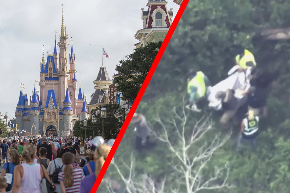 Wildes Tier in Disney World gesichtet: Park wird teilweise dichtgemacht