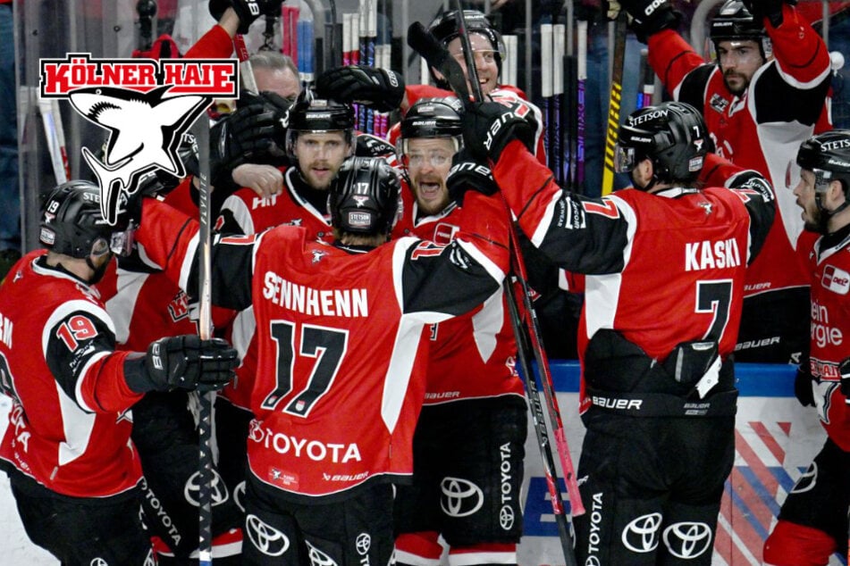 Ekstase in der Overtime: Kölner Haie beißen gegen Eisbären zurück