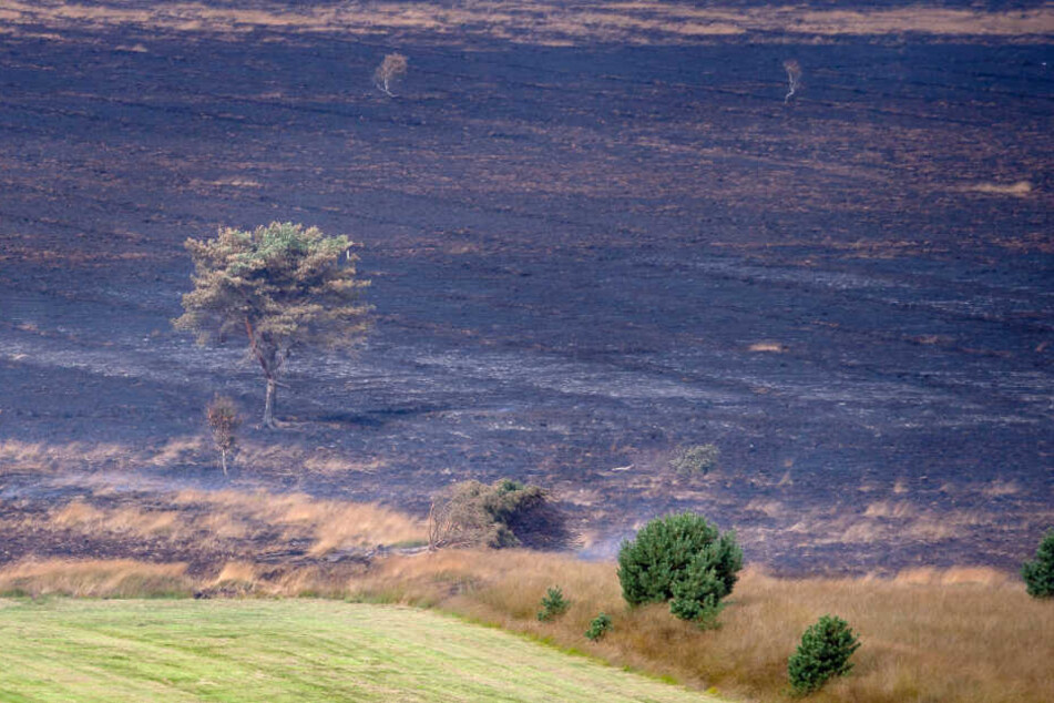 Wochenlang brannte erst kürzlich auch das emsländische Moor auf einem Bundeswehr-Testgelände in Meppen, Niedersachsen. Die Feuerwehr will eine Brandausweitung wie hier im Ahrenloher Moor unbedingt verhindern.