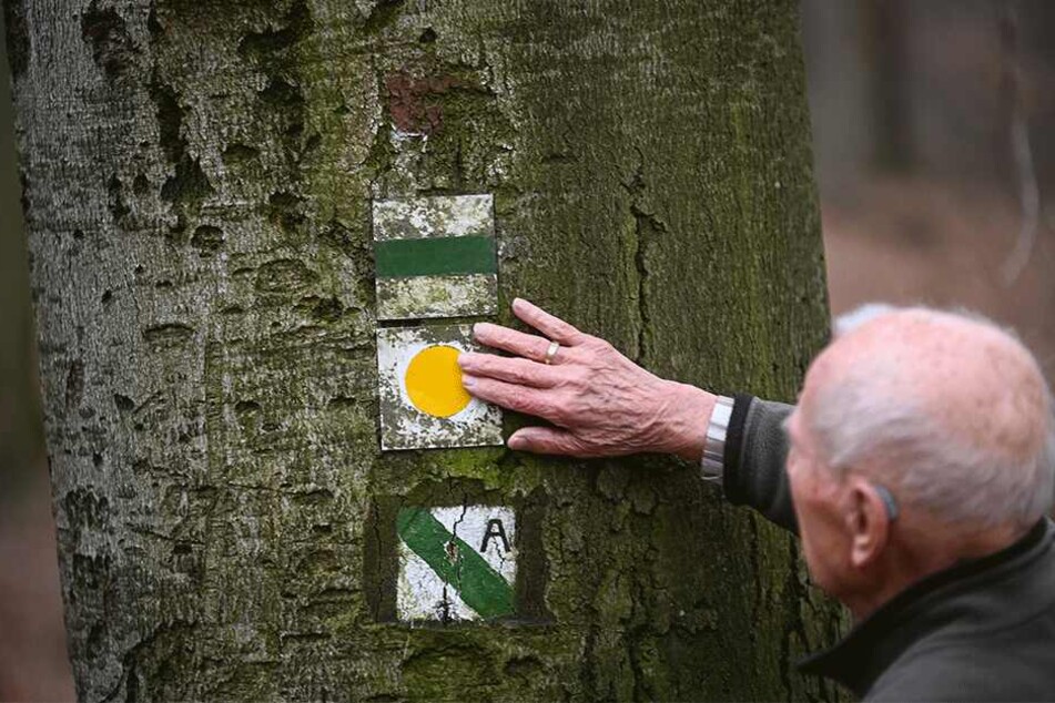 Wind, Wetter und Vandalismus: Das sind die Grunde dafür, dass viele Markierungen regelmäßig erneuert werden müssen.