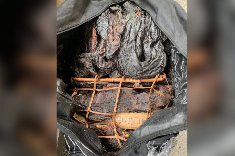 Im Gepäck wurden 80 Kilogram tote Fische und Schlangen gefunden.